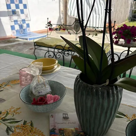 Сasa de vacaciones Maria Citara *